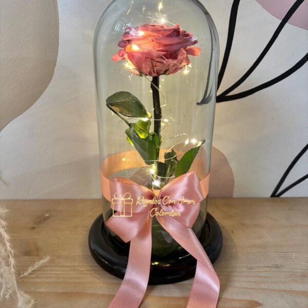 ROSA PRESERVADA - Imagen 3