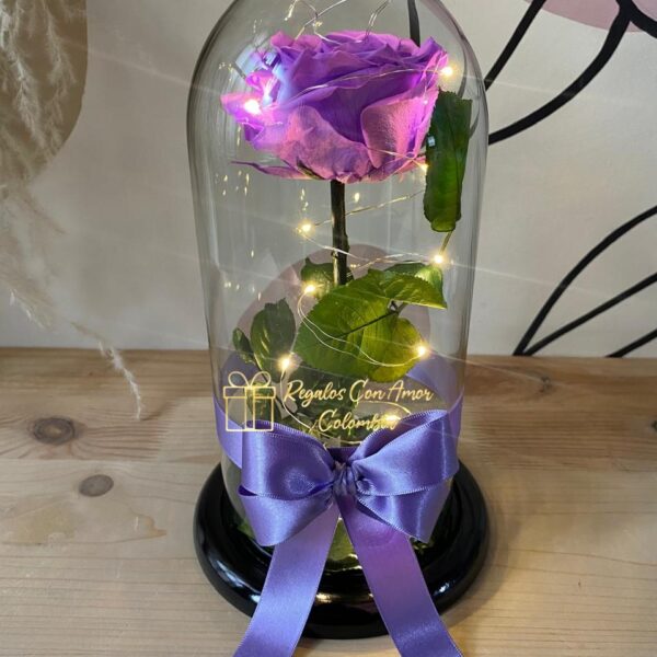 ROSA PRESERVADA - Imagen 4
