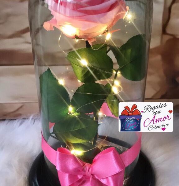 ROSA PRESERVADA - Imagen 5