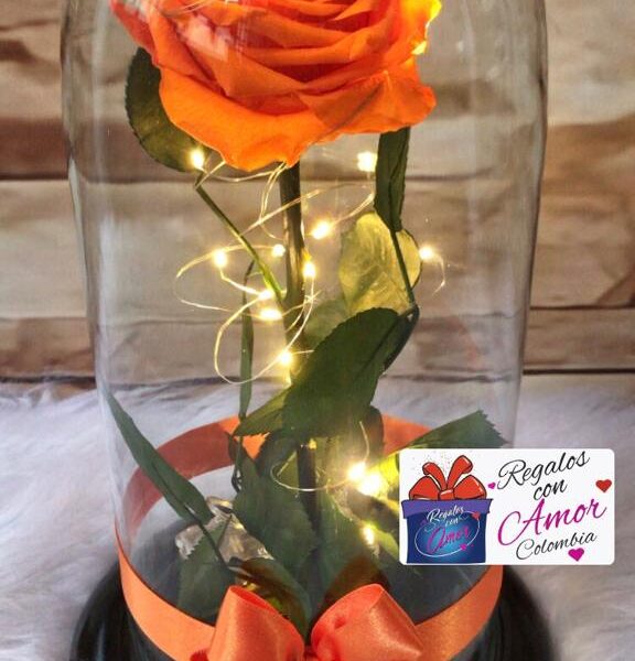 ROSA PRESERVADA - Imagen 7