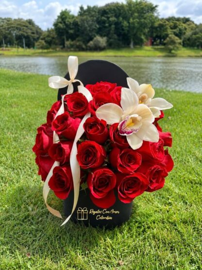 ROSAS & AMOR